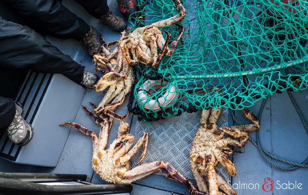 King Crab Salmon Sable