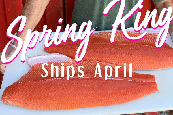 Spring King Special (Ships April)