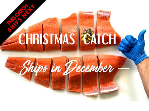 Christmas Catch (Ships Dec. 2024)