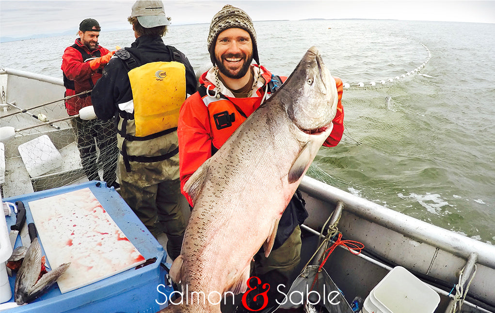 King Salmon - Salmon & Sable