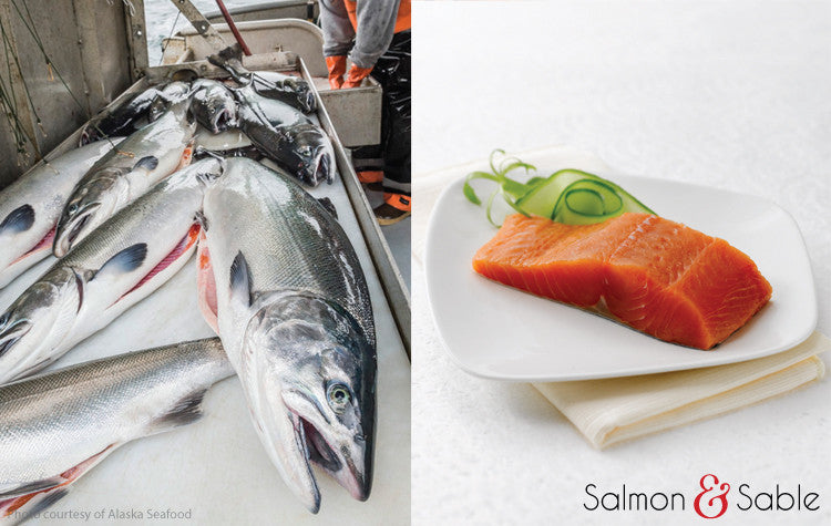Coho Salmon (Summer Catch)