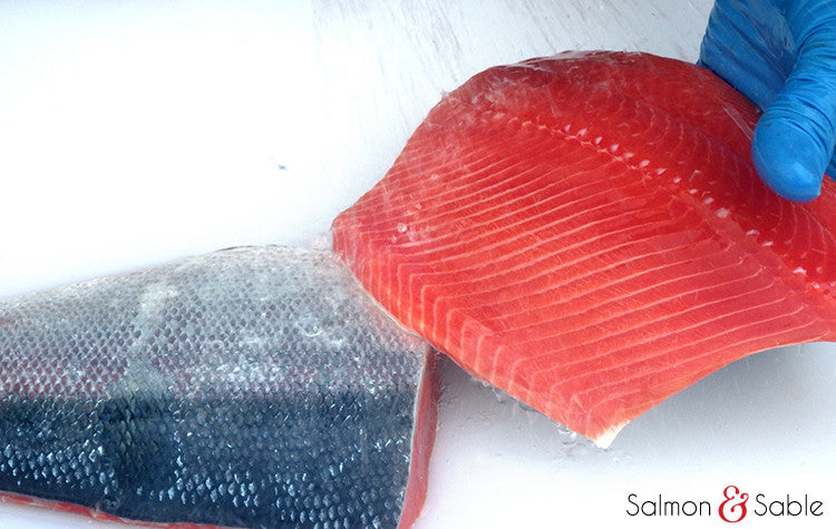 Sockeye Salmon (Christmas Catch)